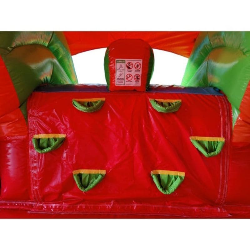 Eagle Bounce Sports Combo With Pool and Slide Ladder View