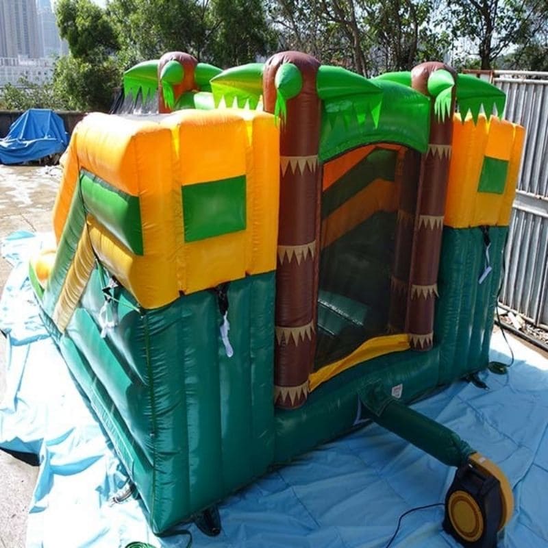 Dual Lane Palm Tree Combo with Slides Rear View