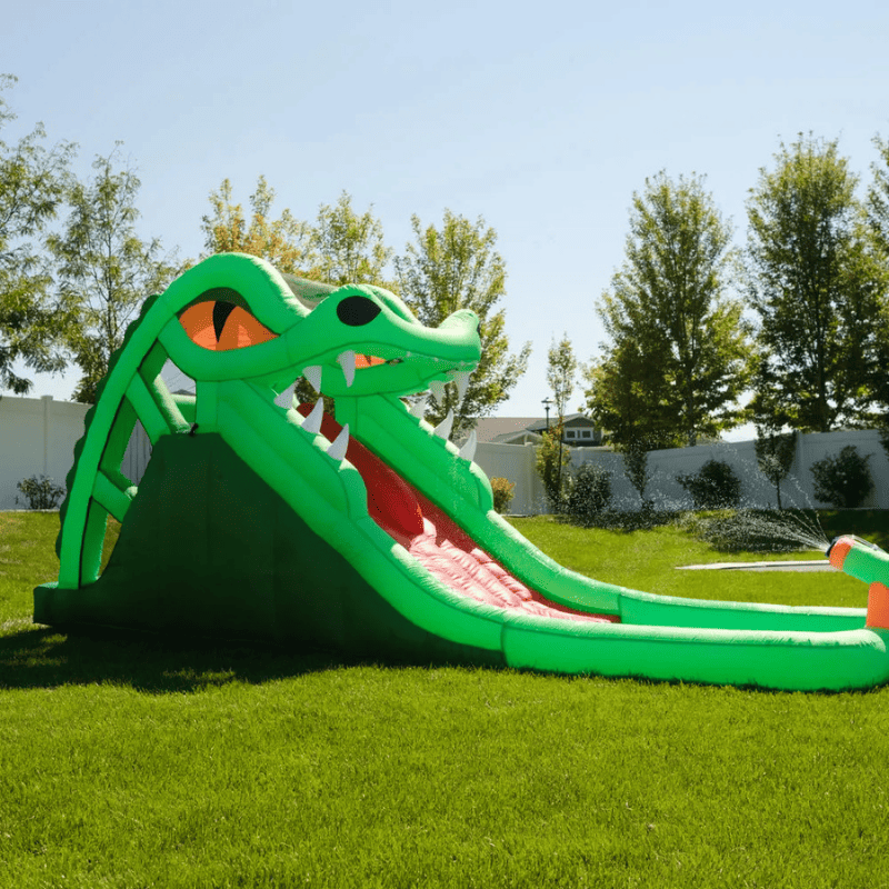 Avyna Dragon's Lair Waterslide Inflatable Right View Outside