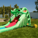 Avyna Dragon's Lair Waterslide Inflatable Front Left View Outside