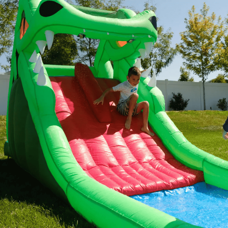 Avyna Dragon's Lair Waterslide Inflatable Kid Sliding Close Up Outside