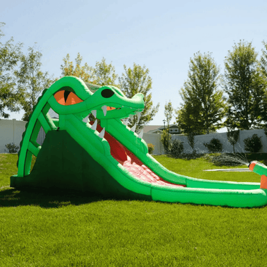 Avyna Dragon's Lair Waterslide Right View in Backyard
