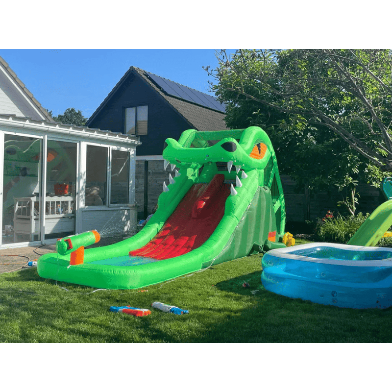 Avyna Dragon's Lair Waterslide in Backyard with Pool