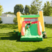 Avyna Royal Palace 1 Obstacle Course with Slide Kid Sliding Down in Backyard