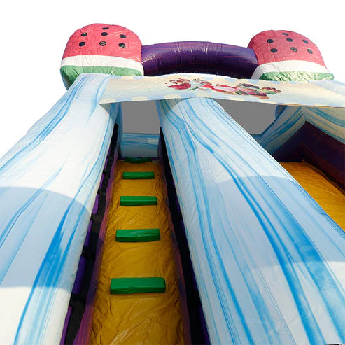 Moonwalk USA 19ft Ice Cream Inflatable Water Slide Wet/Dry Ladder and Top Design View