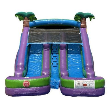 Front View of Eagle Bounce Purple Palm Tree Dual Lane Water Slide for Sale