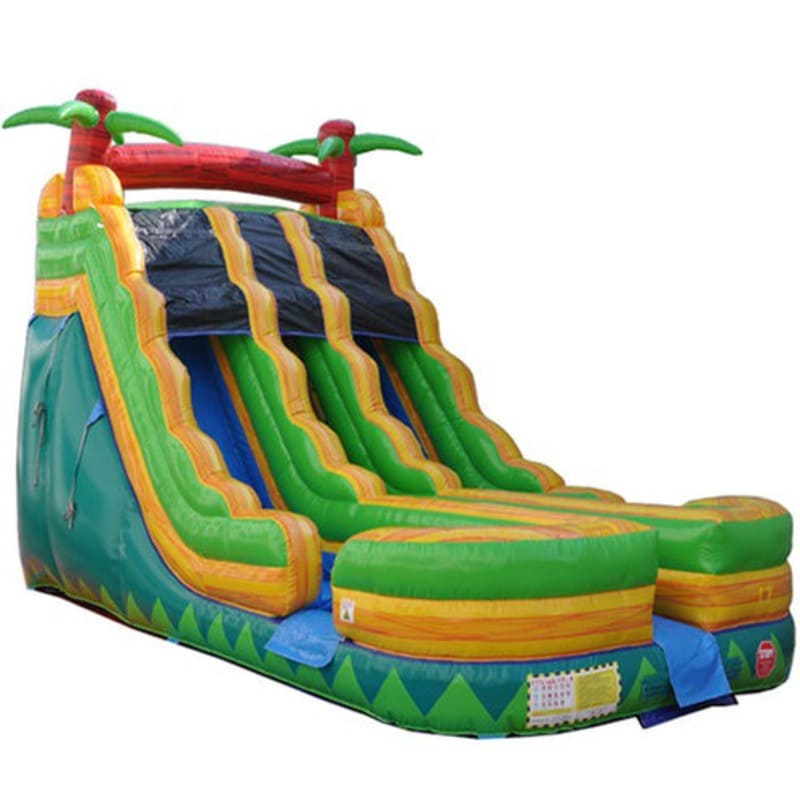 18'H Dual Lane Palm Tree Slide Wet n Dry Front Right
