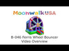 Moonwalk USA Inflatable Ferris Wheel  Bounce House Video (B-046)


